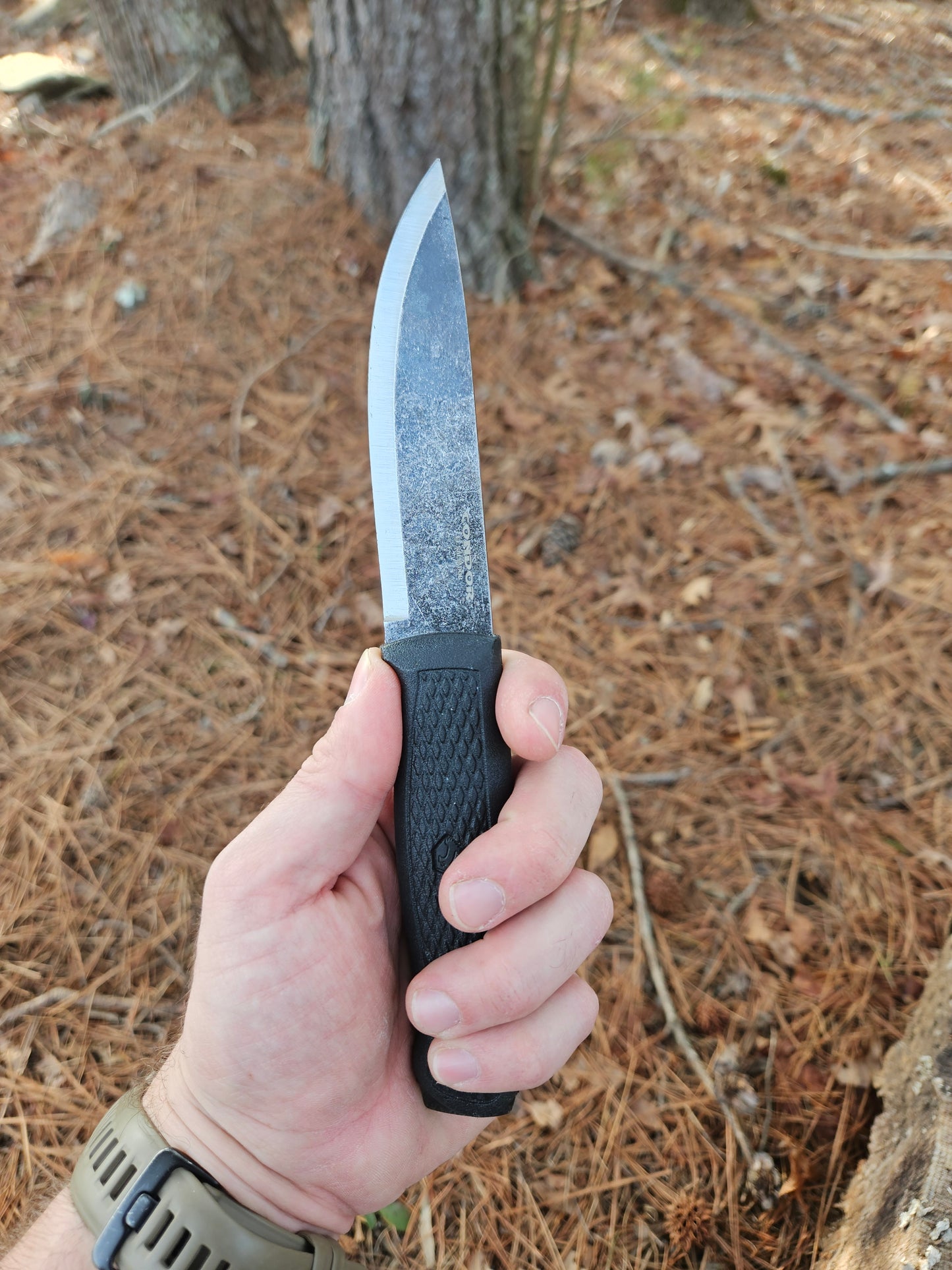 Condor Terrasaur Black